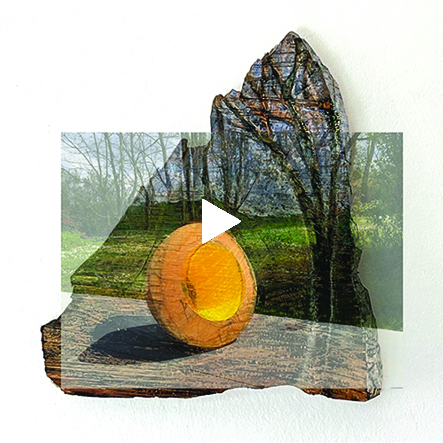 19 metamorfose - transformatie - transmutatie landscape 8 kopiëren kopiëren